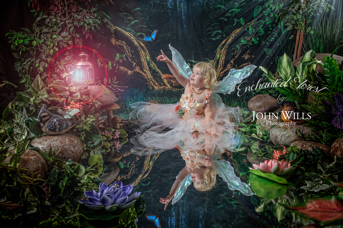 Magical Enchanted Forest