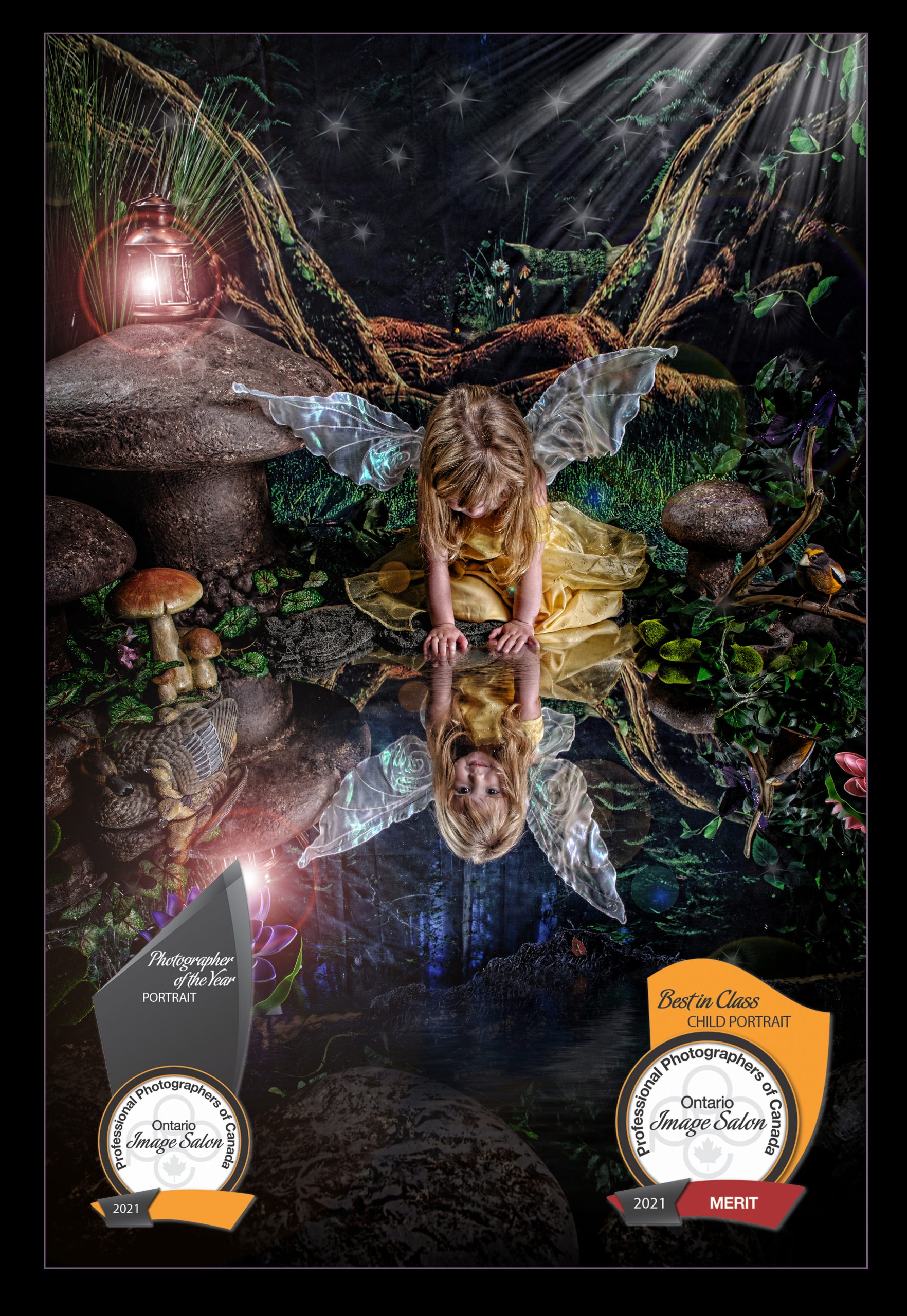 Enchanted Forest Photo Sessions