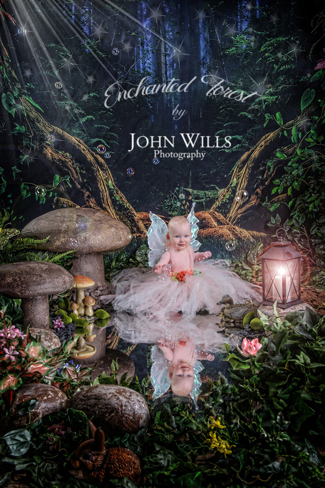 Enchanted Forest Photographers