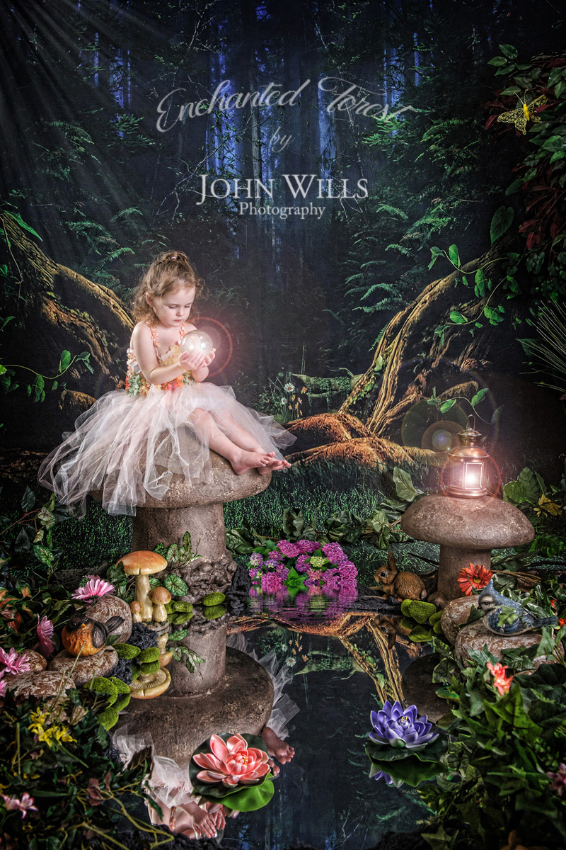 Magical Enchanted Forest Photographers