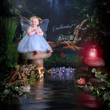 Fairy Photographers in My Area